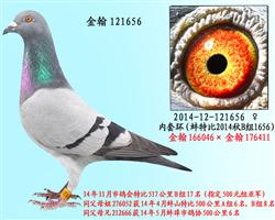 勃默德121656