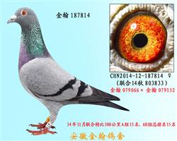 勃默德187814