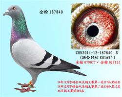 勃默德配詹森邦德007   187840