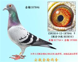 勃默德配詹森邦德007   187846