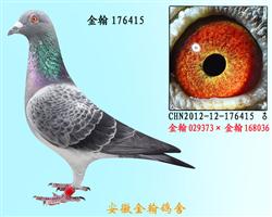 勃默德176415