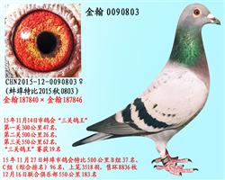 勃默德配詹森邦德007  0090803