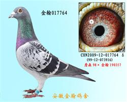 勃默德配詹森邦德007   017764
