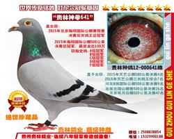 （瀚翔冠军之母）