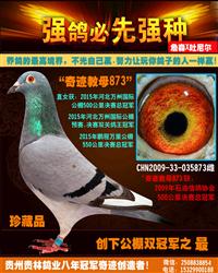 （万州冠军号之母）