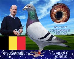 博强直孙