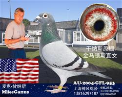 甘纳斯头号种雄“金马顿斯”直女