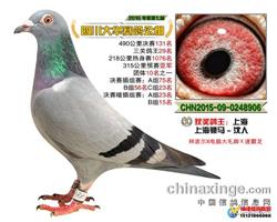 骠马8906
