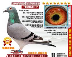 “鹏程冠军”之母