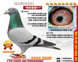 “鹏程冠军”之父