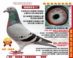 “鹏程冠军号234”