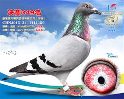 2016年春楚雄藍天公柵349名