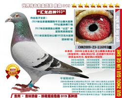 “汇龙战神993”（非卖品）