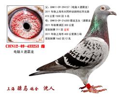 骠马3253