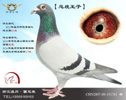 【总统王子】总统号直孙