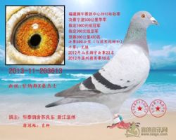 福建腾宇公棚季军