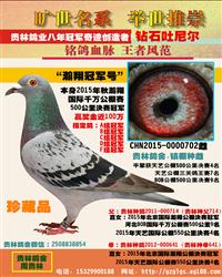 “瀚翔国际冠军号”