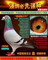 （万州冠军号之父）