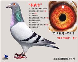 职责号