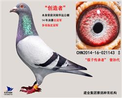 创造者