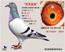 优秀复制