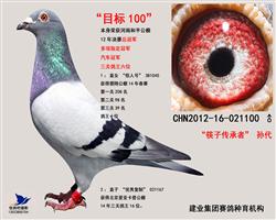 目标100