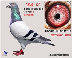 实战112