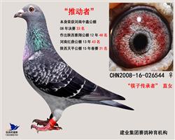 推动者