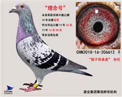 理念号