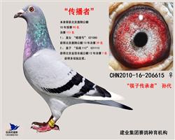 传播者