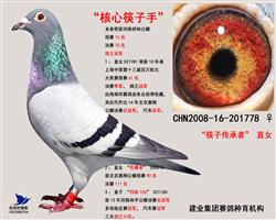 核心筷子手