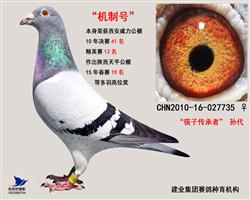 机制号