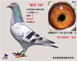 筷乐108