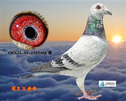 花王直子（转内蒙）