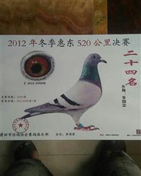 詹森