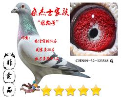 桑杰士“狼狗号”