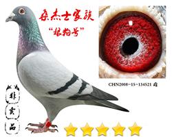 桑杰士“狼狗号”