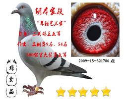 胡本“年轻艺术家”