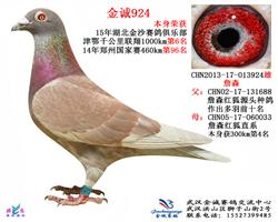 詹森红狐千公里6名