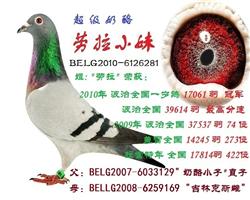 劳拉小妹