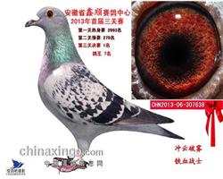 “国王号”家族荣誉--   公棚决赛冠军