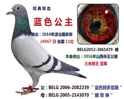 蓝色公主