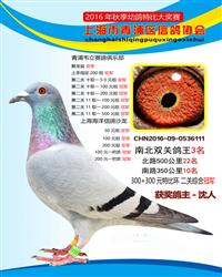 骠马6111