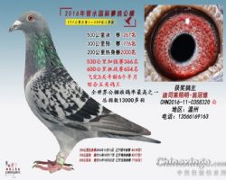 银水公棚五关王