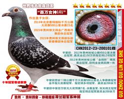 “百万皇后101”