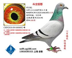 斗士狂怒  已转鸽友收藏