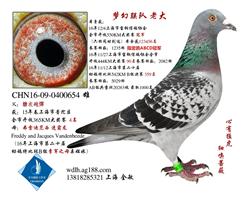 上海梦幻联队之老大