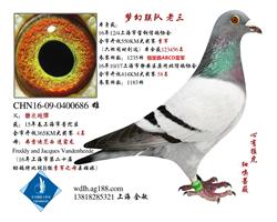 上海梦幻联队 老三