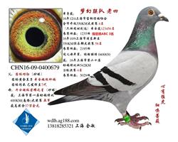 上海梦幻联队 老四 已转鸽友收藏