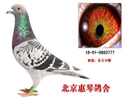 东方不败-桑杰士